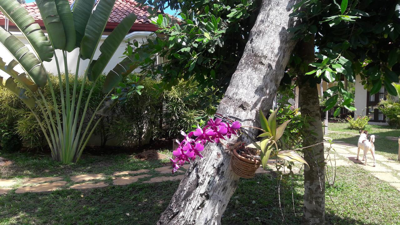Lanka Beach Grand Villa Rekawa Extérieur photo